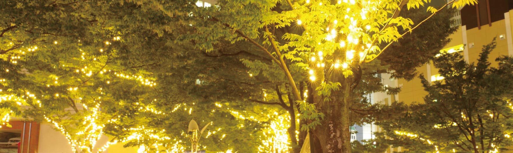 イルミネーション　夜景大